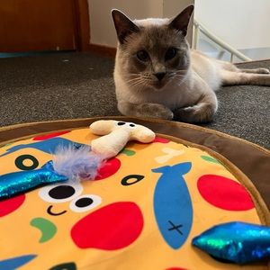 Mad Cat Pizza play mat